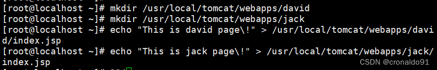 Web服务器群集：部署Tomcat插图22