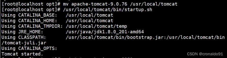 Web服务器群集：部署Tomcat插图14