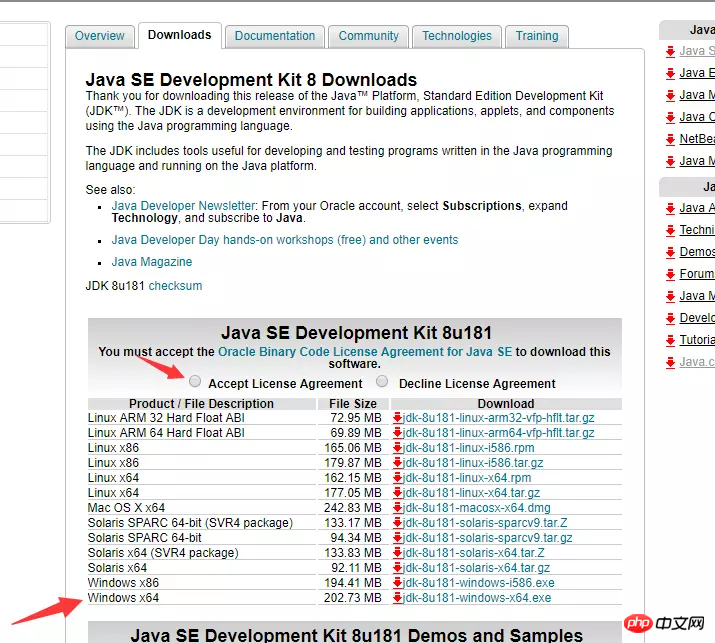 java怎么部署_java项目服务器如何部署？项目服务器的部署步骤插图1
