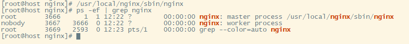 服务器部署nginx 教程插图5